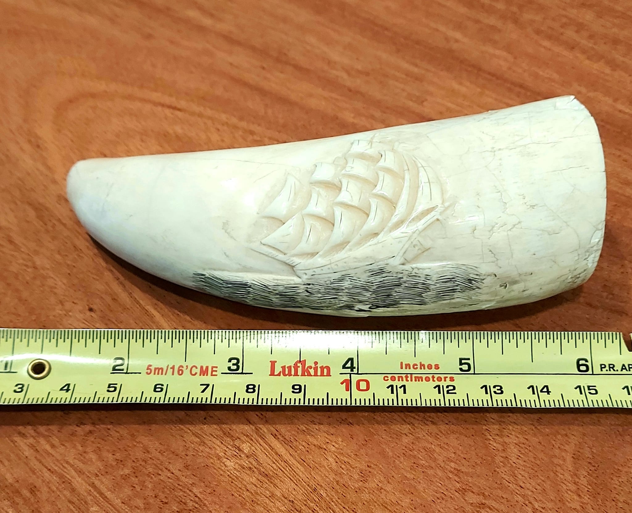 What is the authenticity of my scrimshaw orca tooth?