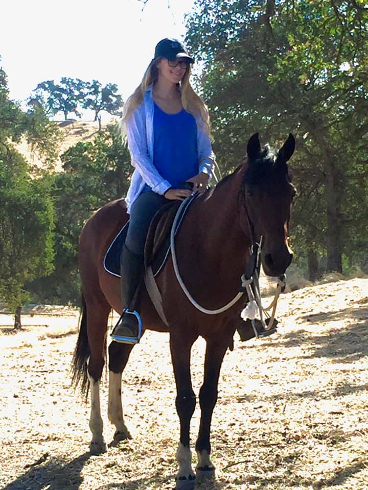 MCRC Equestrian - Meet Emily, the newest addition to the... | Facebook