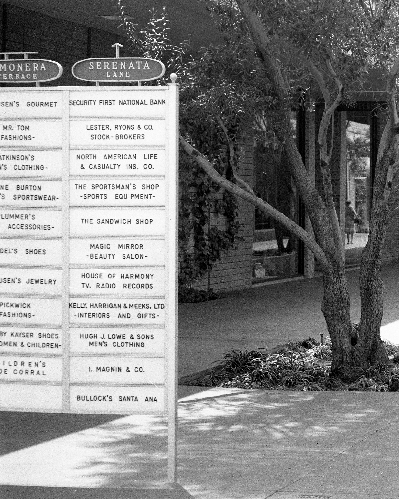 We found these long lost negatives, dated 1963. I believe this is