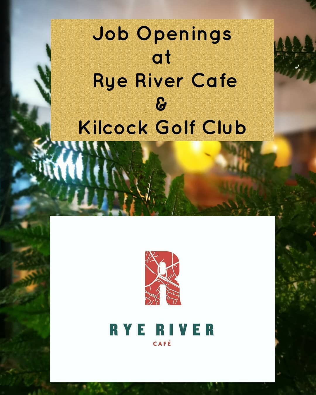 Rye River Cafe - As we try to plan ahead for the reopening... | Facebook