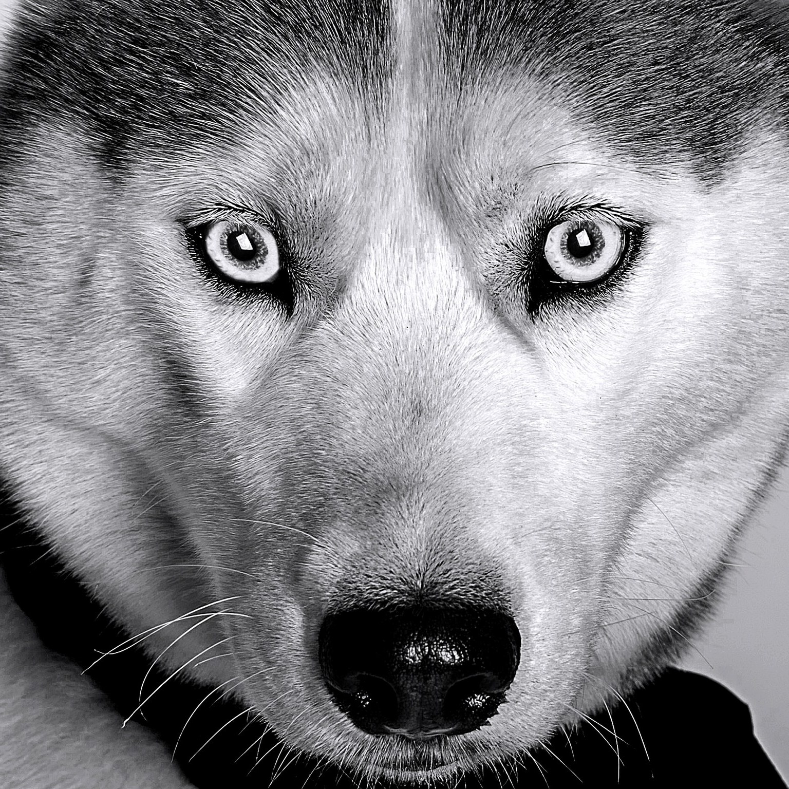 Stuart Absolon Photography