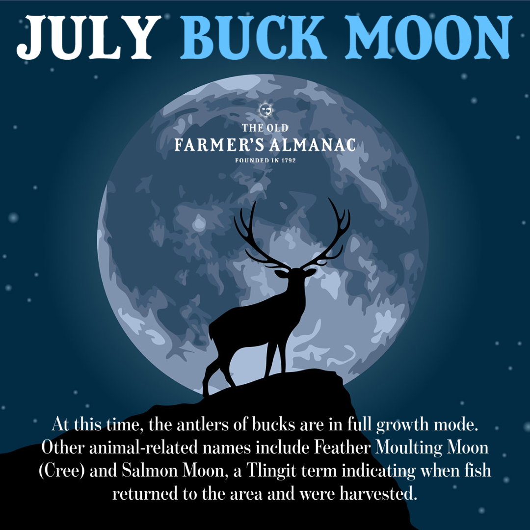 July’s full Buck Moon will rise... - The Old Farmers Almanac