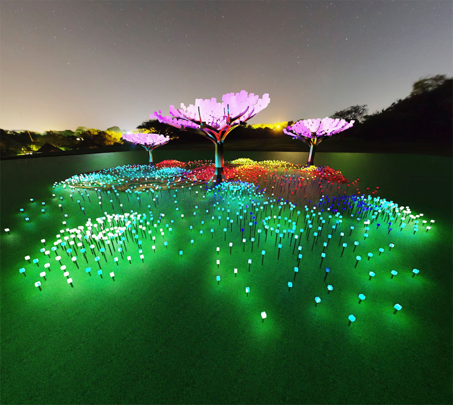 Golden Gate Park's 'Entwined' light installation by Charles Gadeken