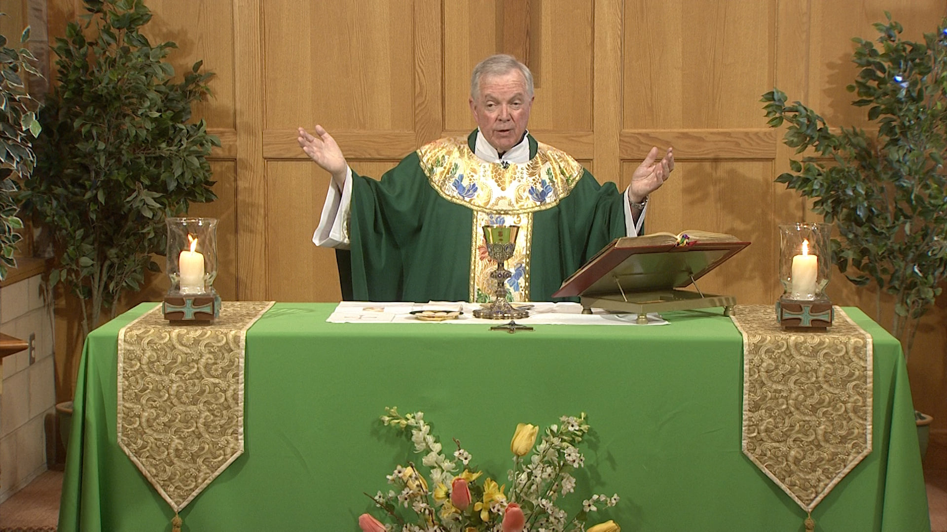 Celebrate the 16th Sunday in... - Catholic Communications | Facebook