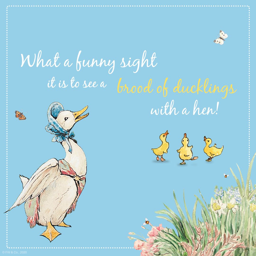 What's your favourite part of Jemima Puddle-Duck? 🌾