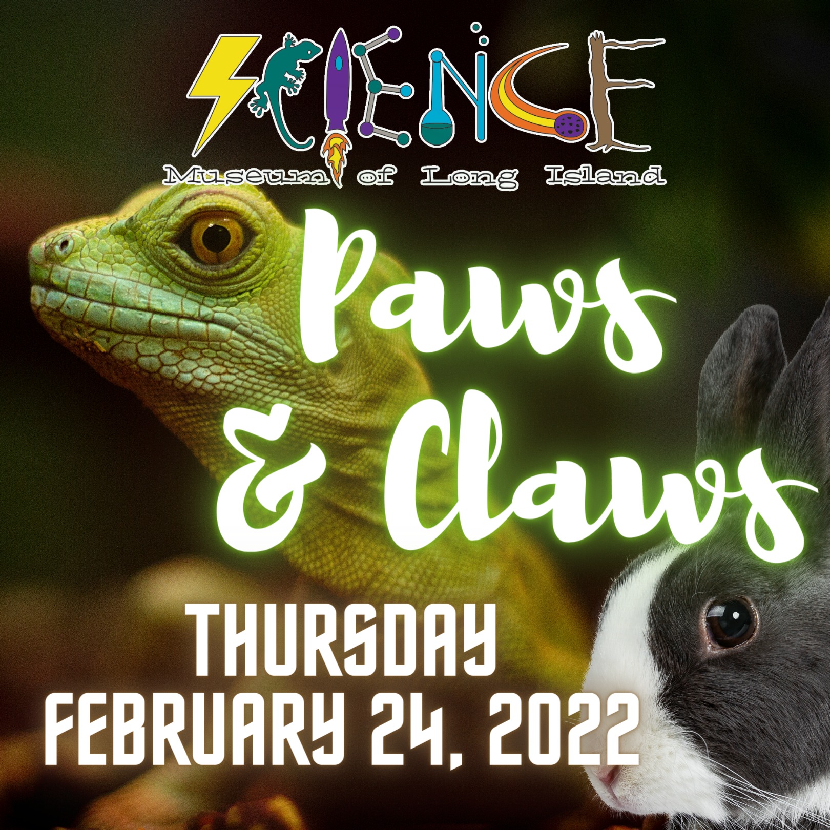 SMLI has a whole week of... - Science Museum of Long Island | Facebook