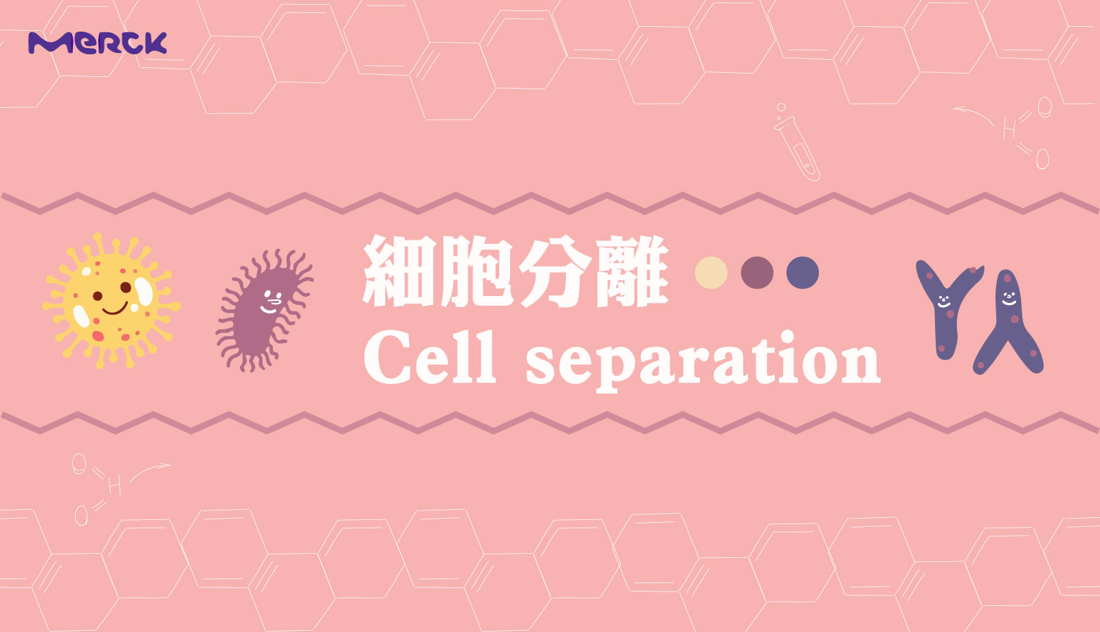 弘晉有限公司 - 【六月專刊-細胞分離Cell separation】 🩸不同類型的血球細胞密度不同...