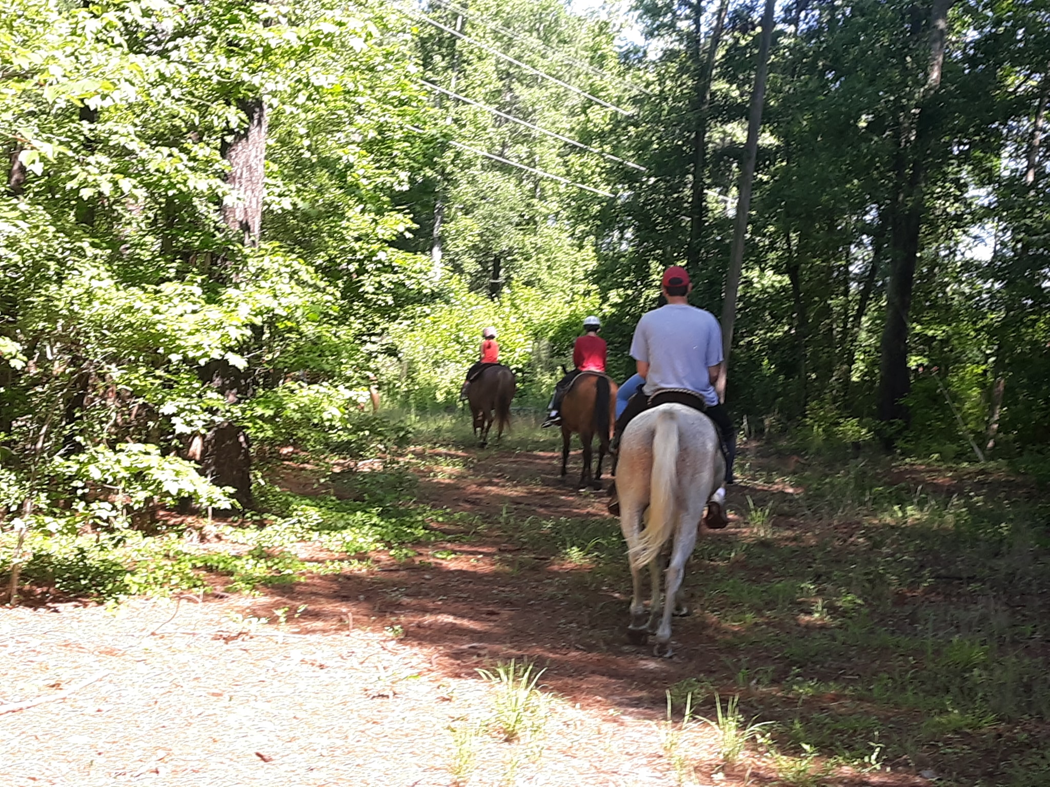 Beautiful day for a trail ride - Red Barn Pony Park | Facebook