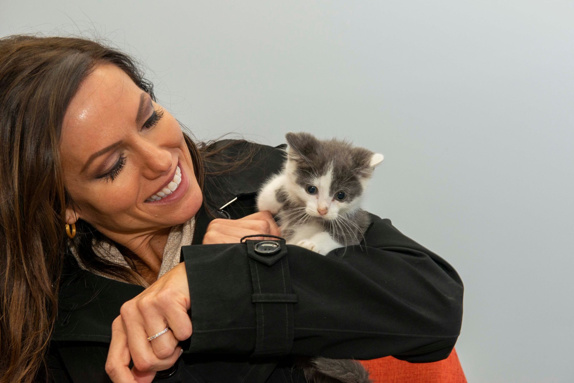 SPCA Cincinnati - The SPCA Cincinnati is looking forward... | Facebook