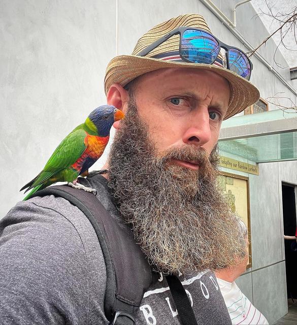 The British Beard Club - 🎩 The birds just can’t resist a beard ...