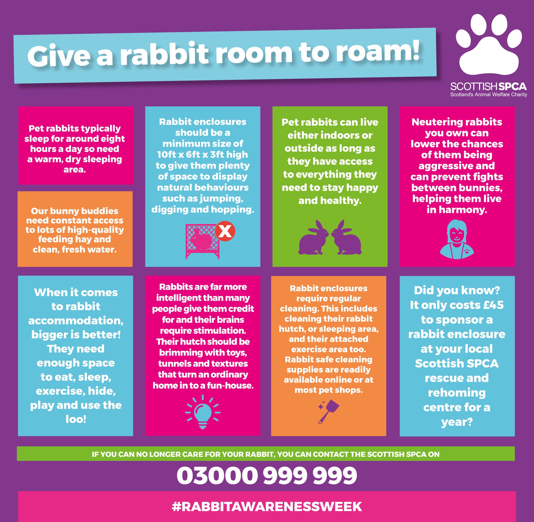 Scottish SPCA - 🐾 It’s Rabbit Awareness Week! From 27 June to 1 July ...