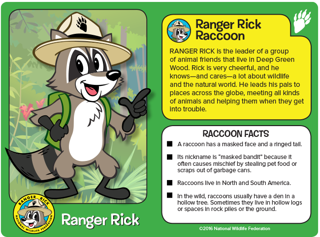 Ranger Rick Mags - Happy Raccoon Appreciation Day—one of our favorite ...