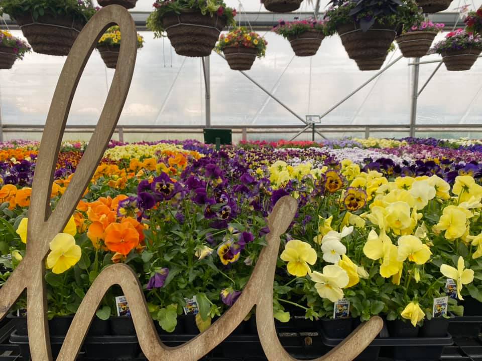 We are officially... - Creque's Greenhouse and Produce Stand | Facebook
