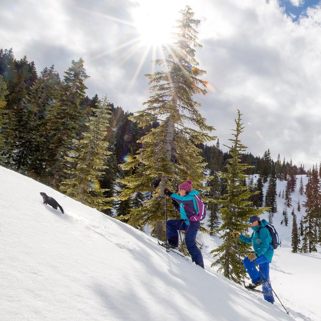 Tubbs Snowshoes Home