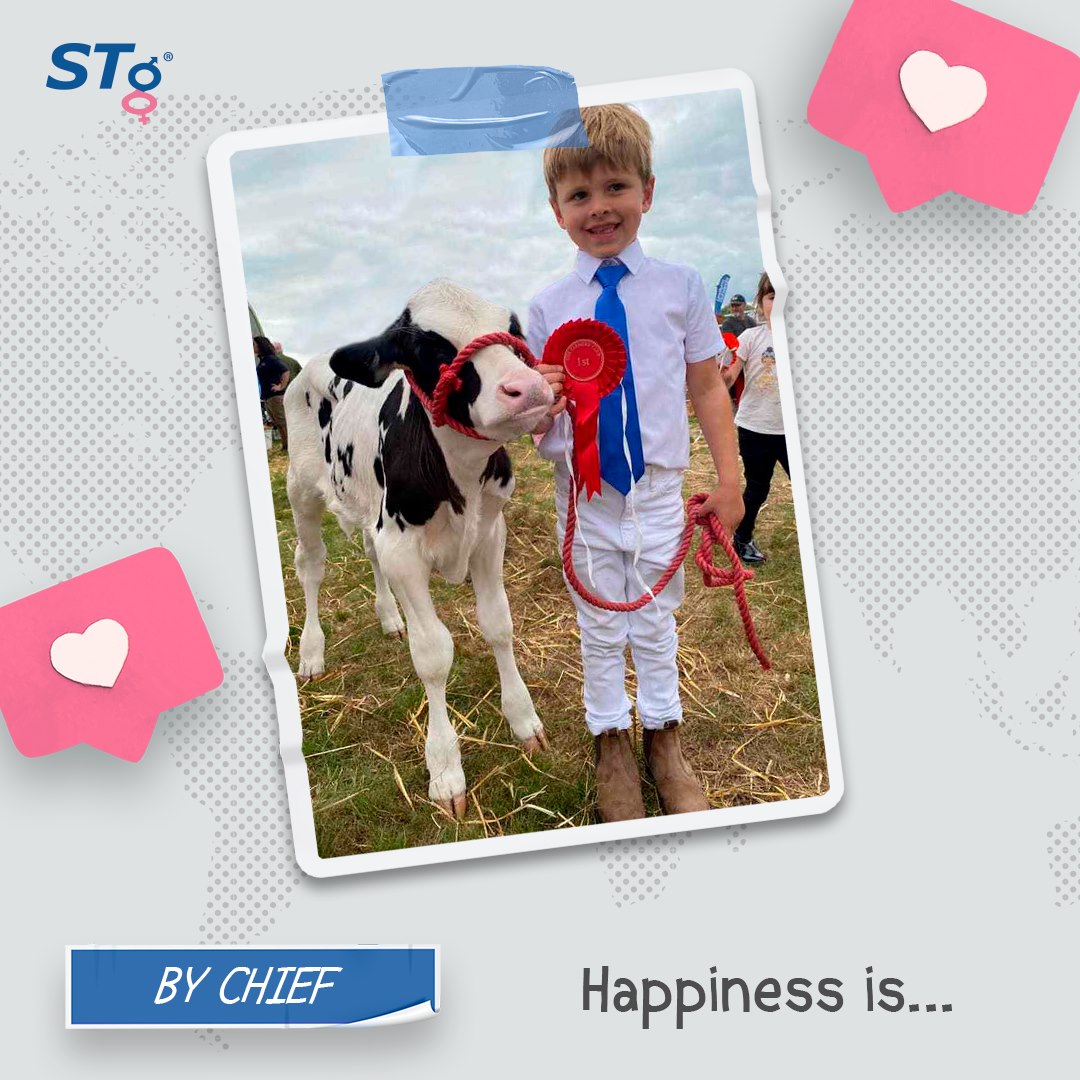 STgenetics - ... winning Champion with your favorite calf! 🏆 😄 📸 Proud ...