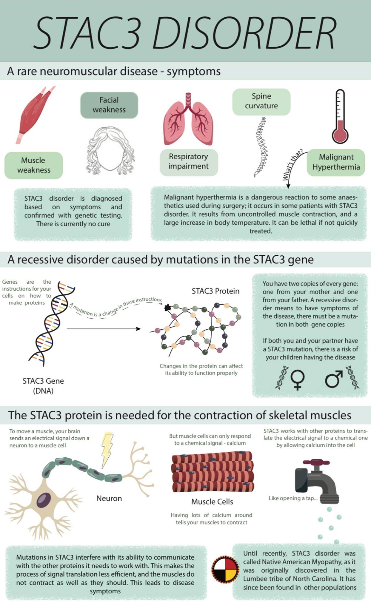 Stac3 Disorder formally Native American Myopathy