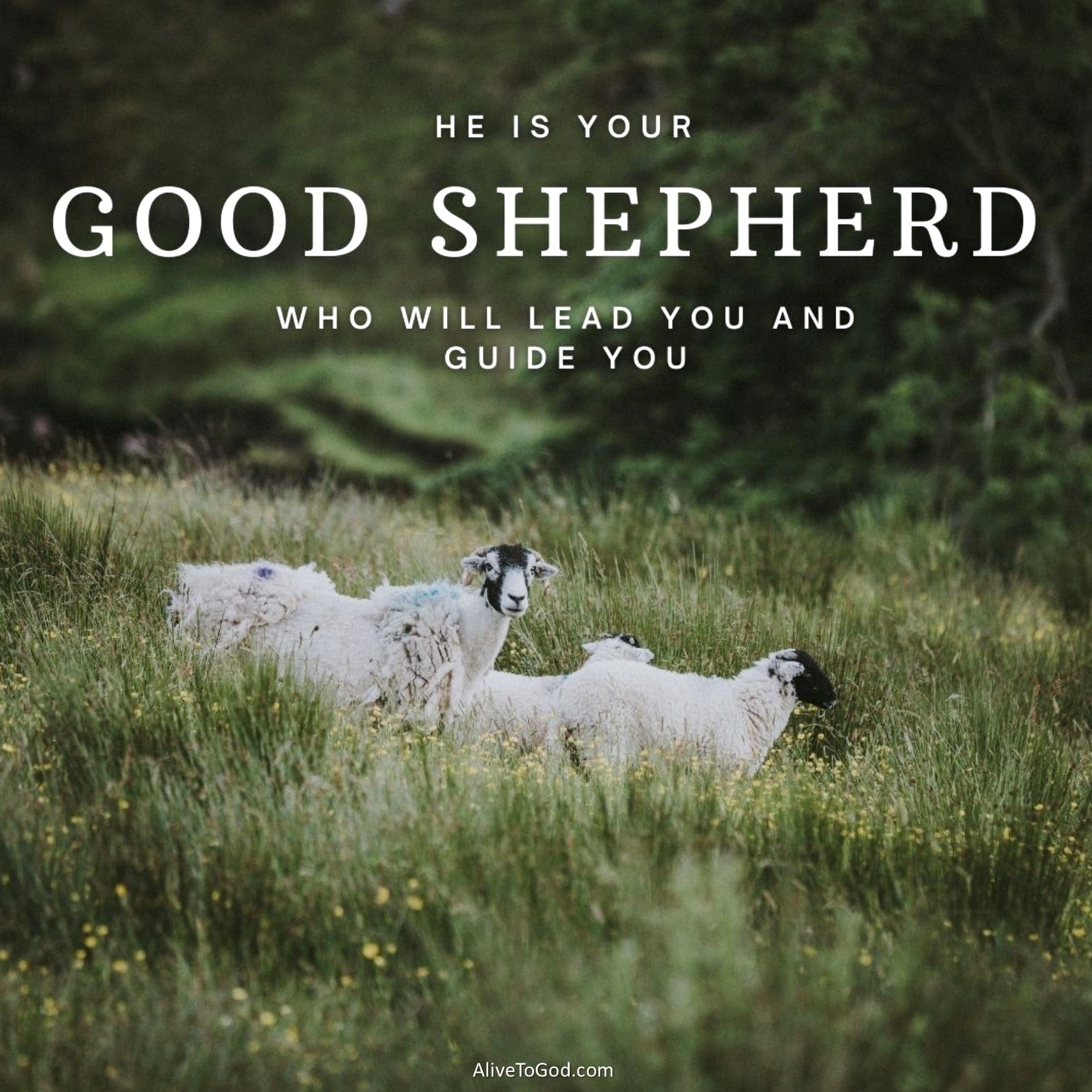 Pastor Ed Roebert