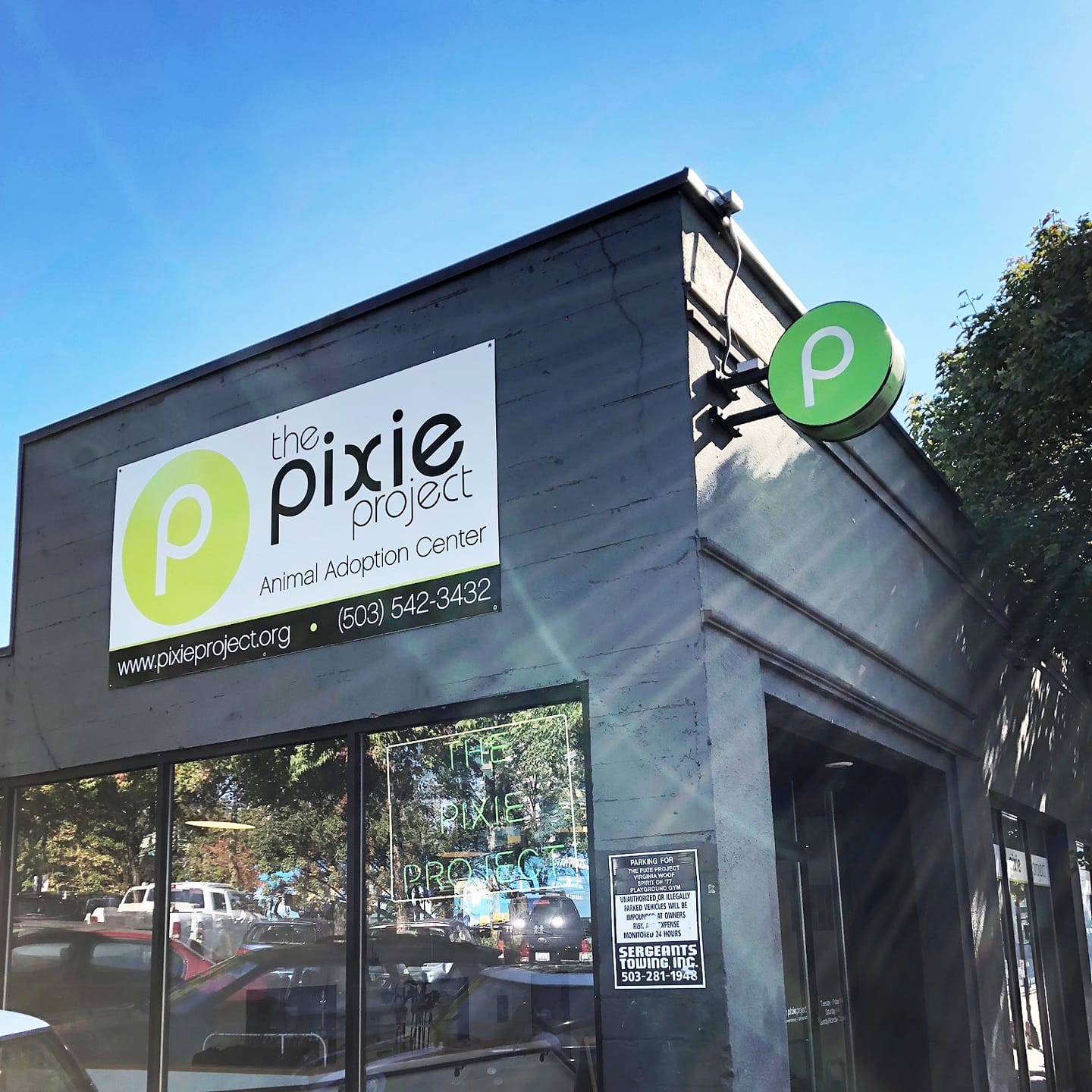 Just an Update! At Pixie, we're going... - The Pixie Project | Facebook