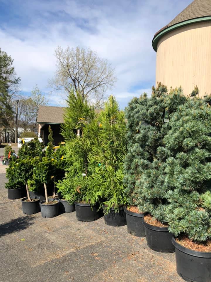 Stonehedge Ldscpg And Garden Center