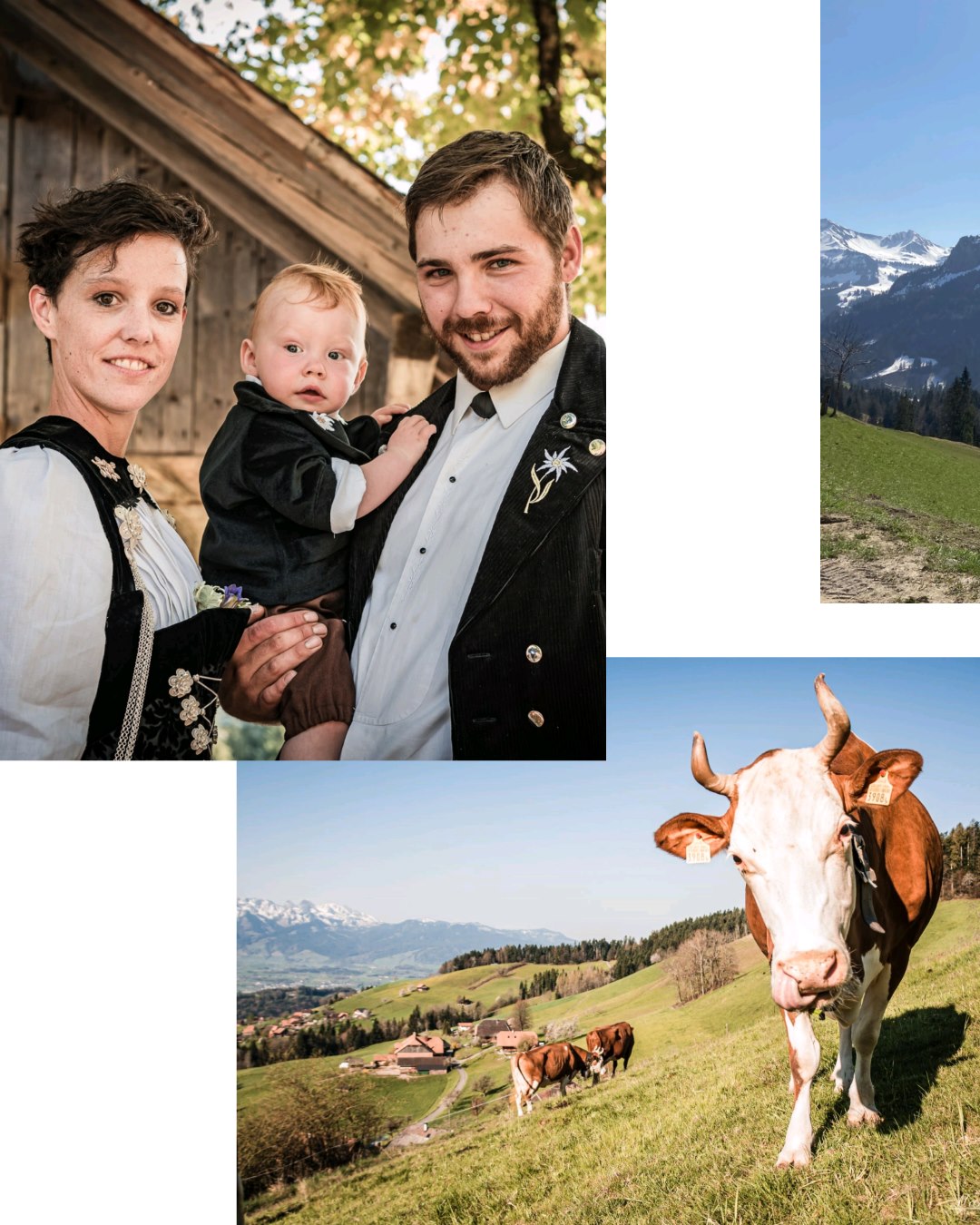 Caritas-Bergeinsatz - Junge Familie mit hoher Arbeitslast bei Arbeiten ...