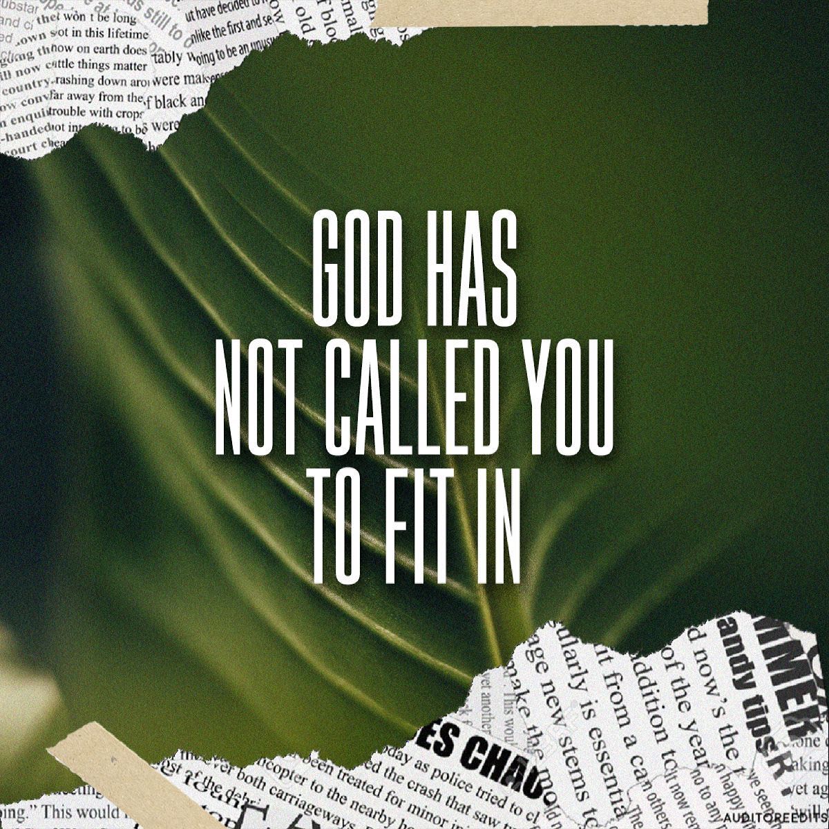 The Ramp - But you are a chosen race, a royal priesthood,... | Facebook