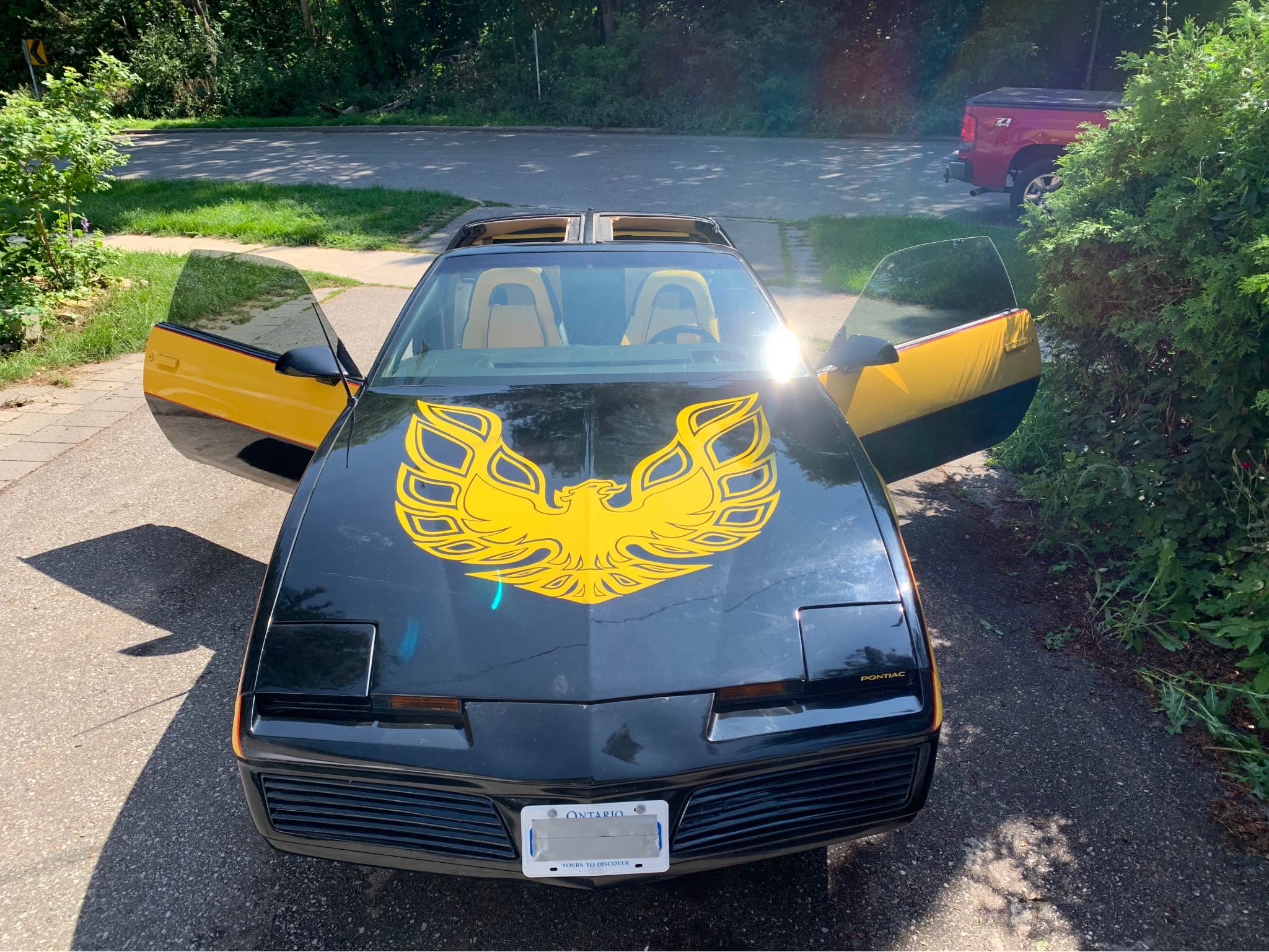 Remanufactured Headlight Motor Actuator For 1982-1986 Pontiac Firebird/Trans Am - Core Exchange Required 6 thumbnail image
