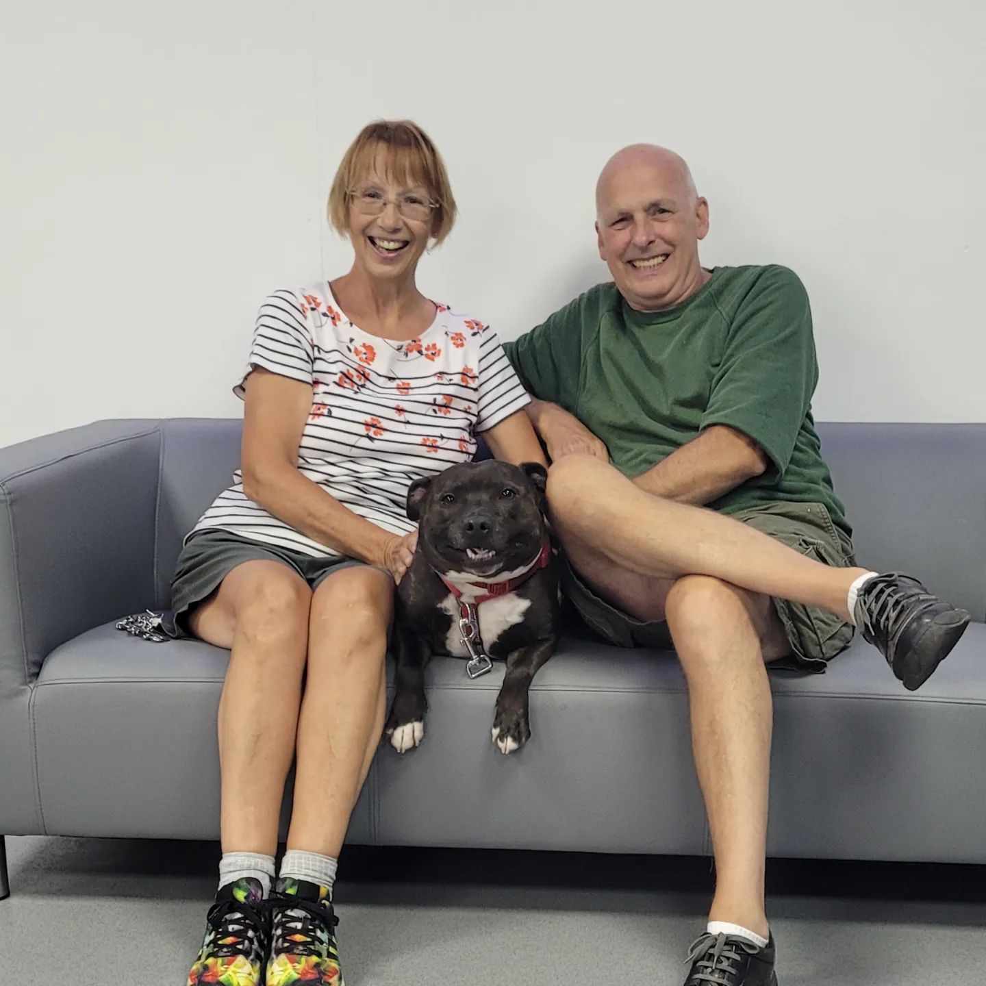 Happy Staffie day this week for... - Happy Staffie Rescue