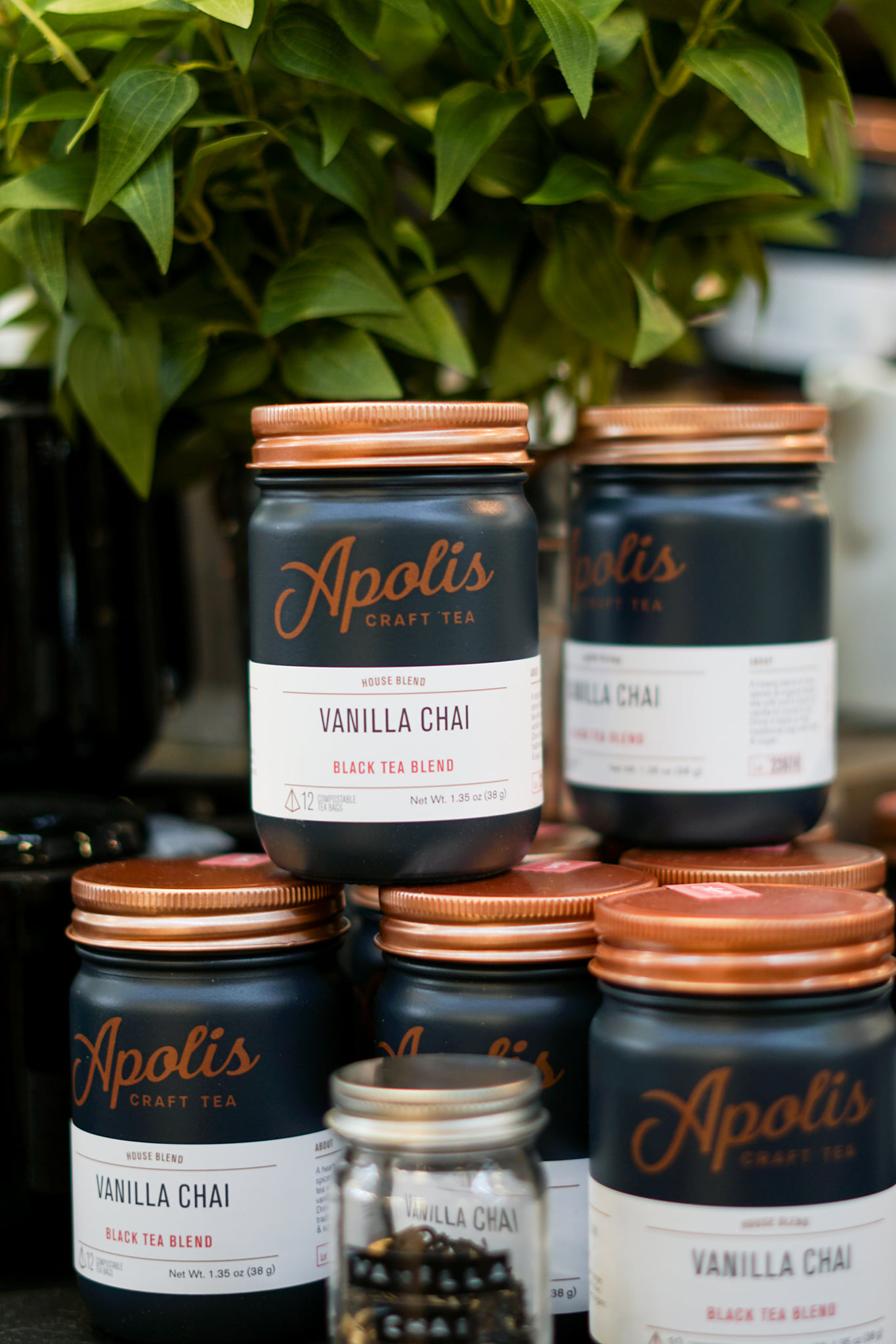 Apolis Tea