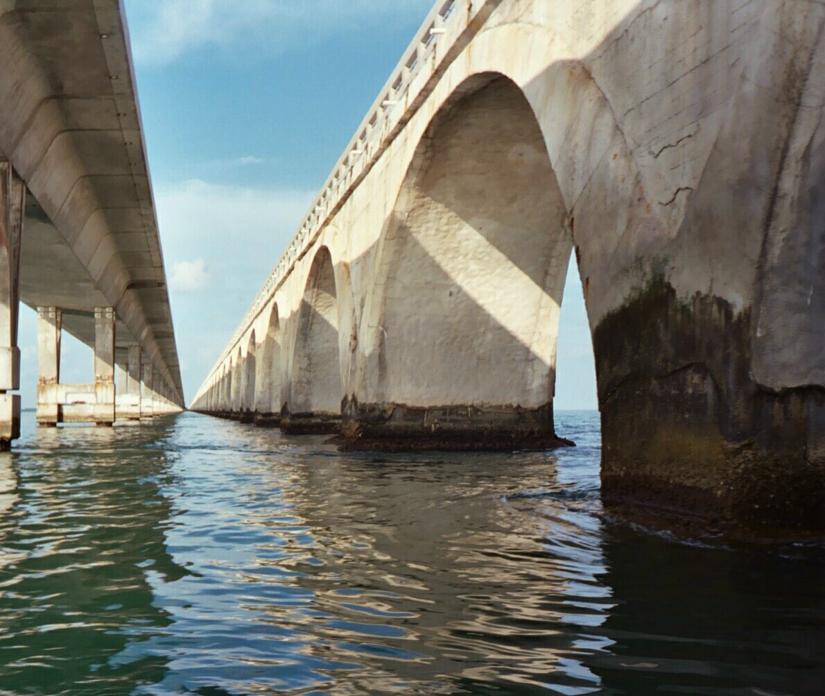 Keys Marine Laboratory - Check out this cool picture from the KML ...