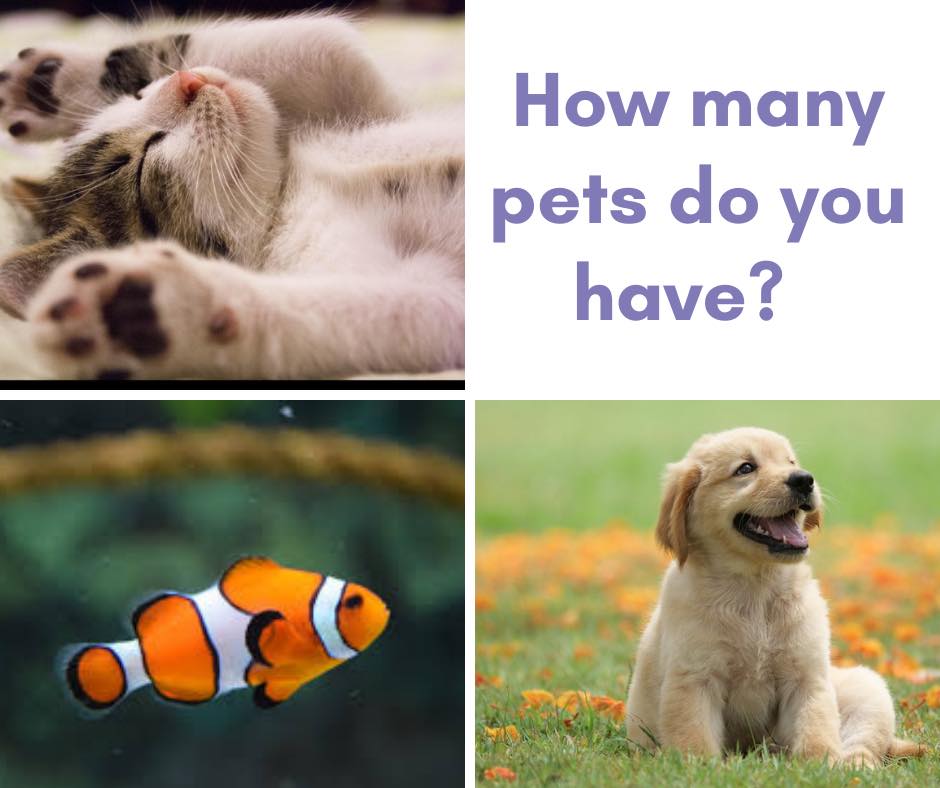 How many pets do you have? And what are... - Life Link Church
