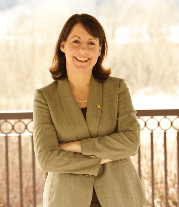 Elect Ann Rivers