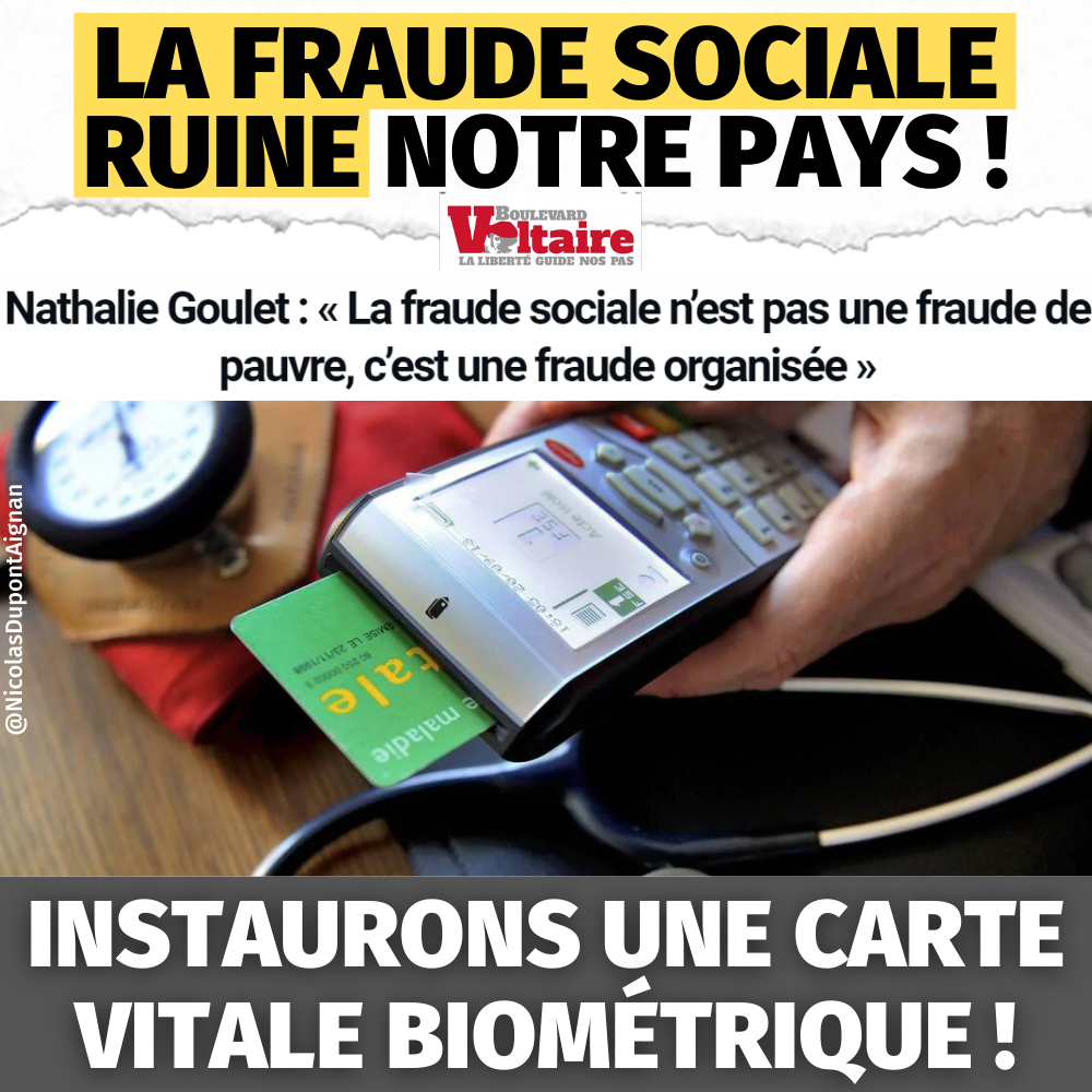 Montant Fraude Sociale Cour Des Comptes