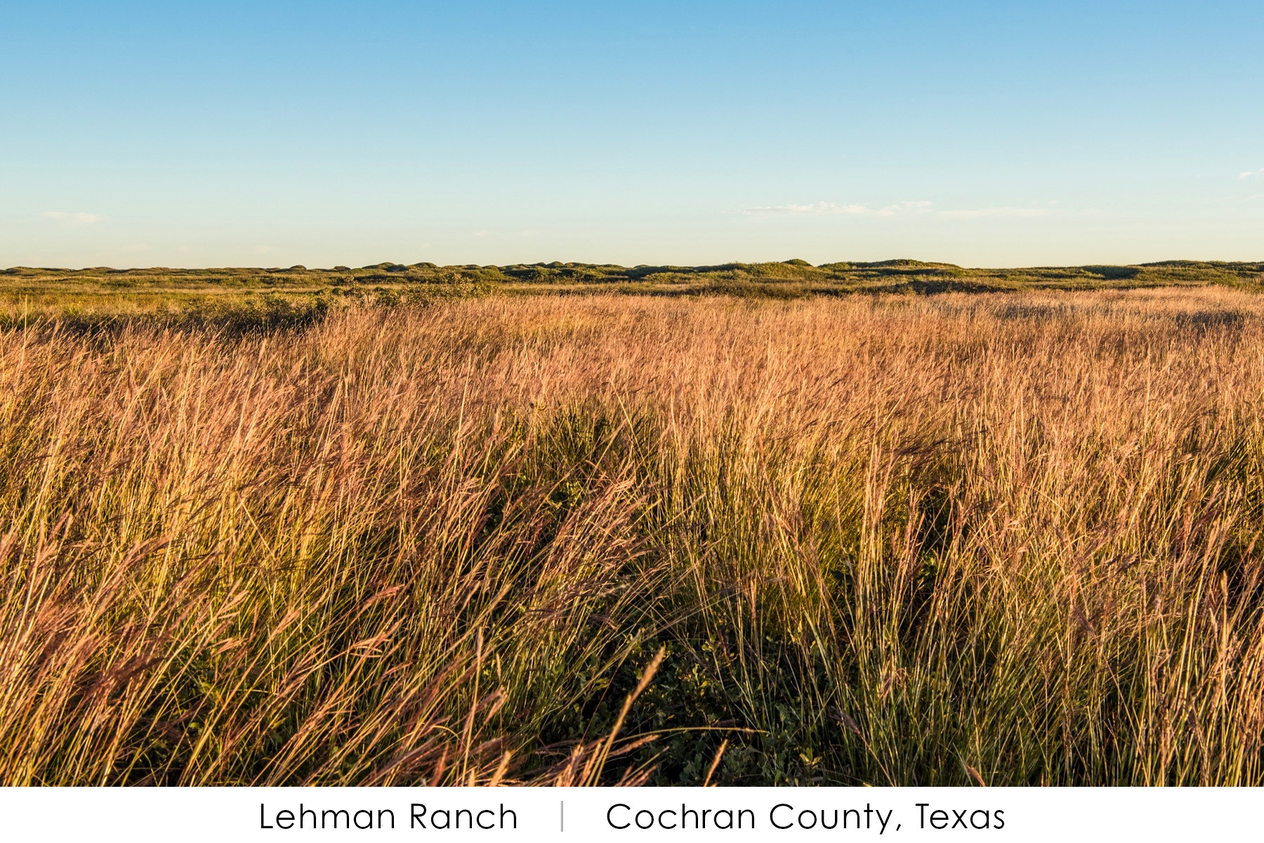 ‼ NEW LISTING ‼ Lehman Ranch... - Chas. S. Middleton and Son | Facebook