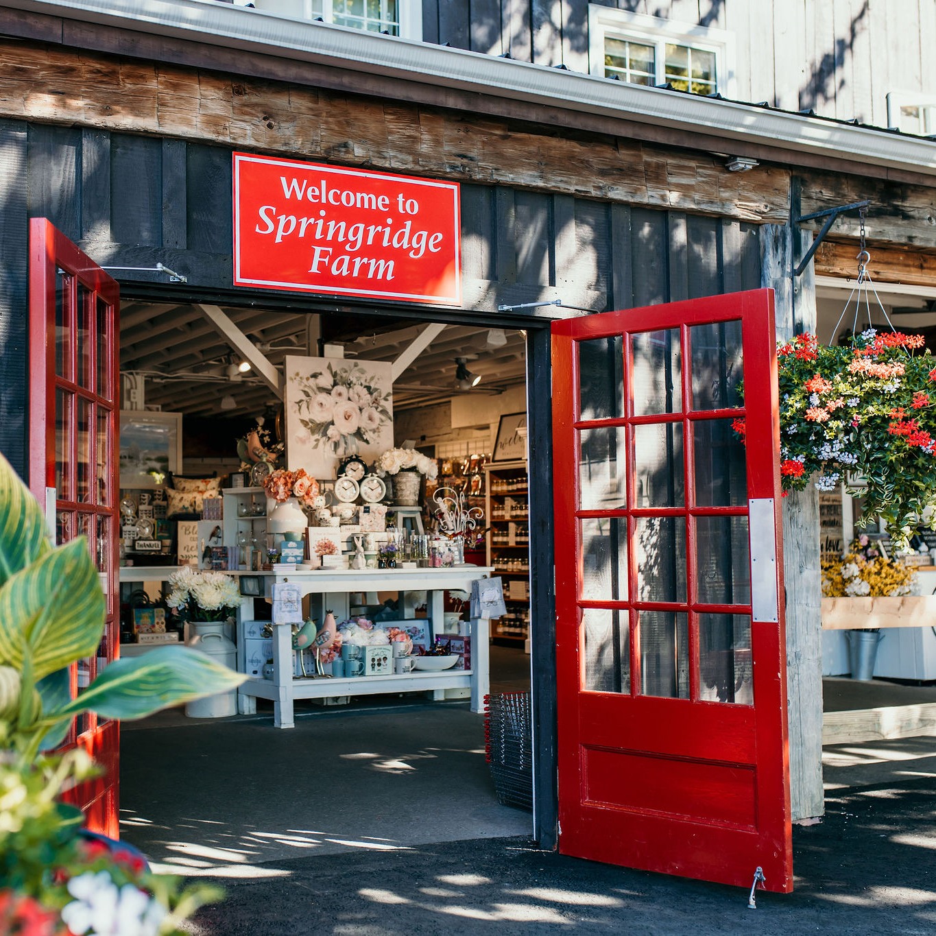 Step inside our nineteeth-century barn... - Springridge Farm