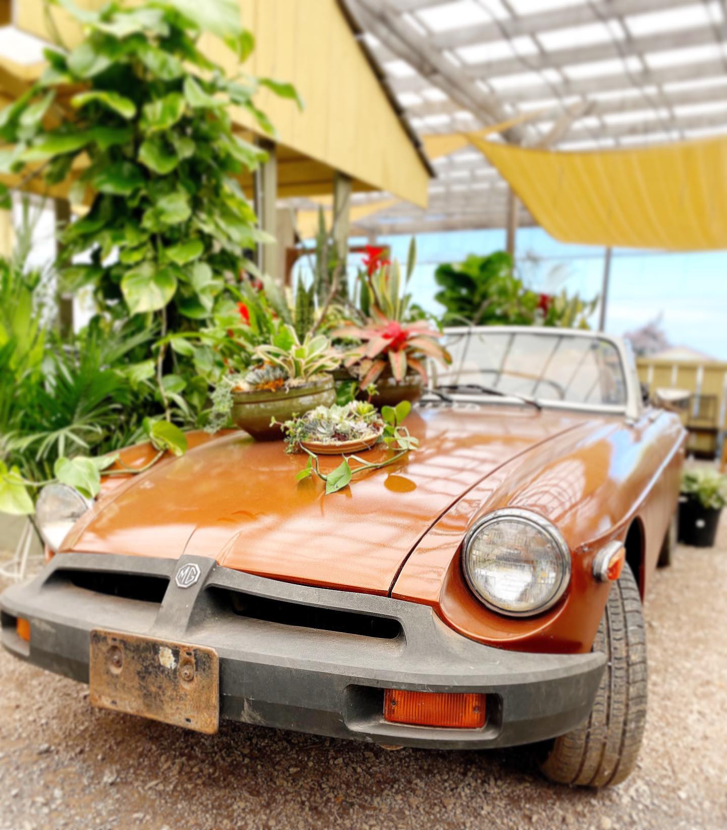 If you’ve visited our new... - The Watering Can Flower Market | Facebook