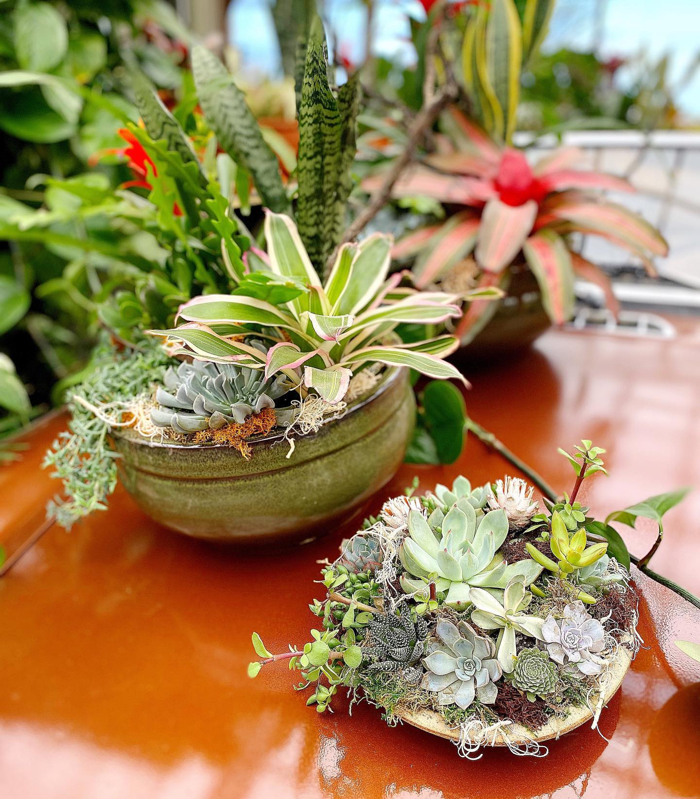 If you’ve visited our new... - The Watering Can Flower Market | Facebook