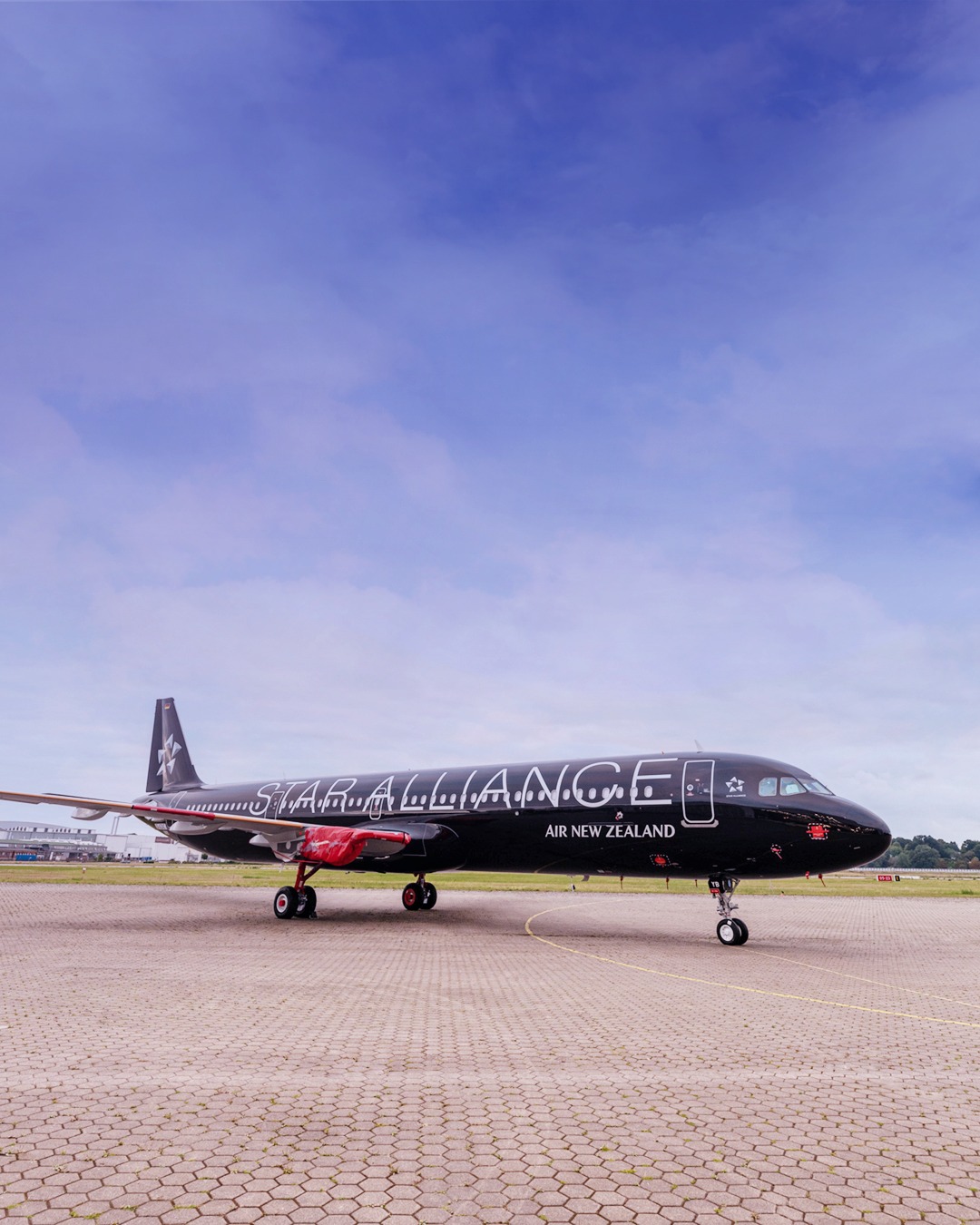 A new star is born! 💫 Say hello to Air New Zealand 's brand new