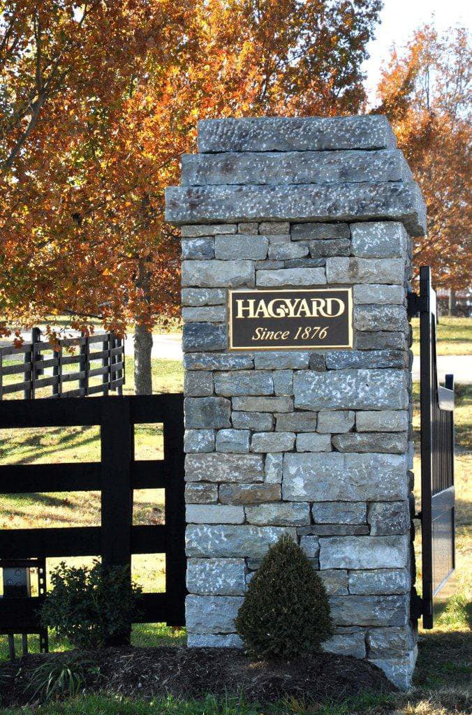 United States Dressage Federation Official Page - Hagyard Equine ...