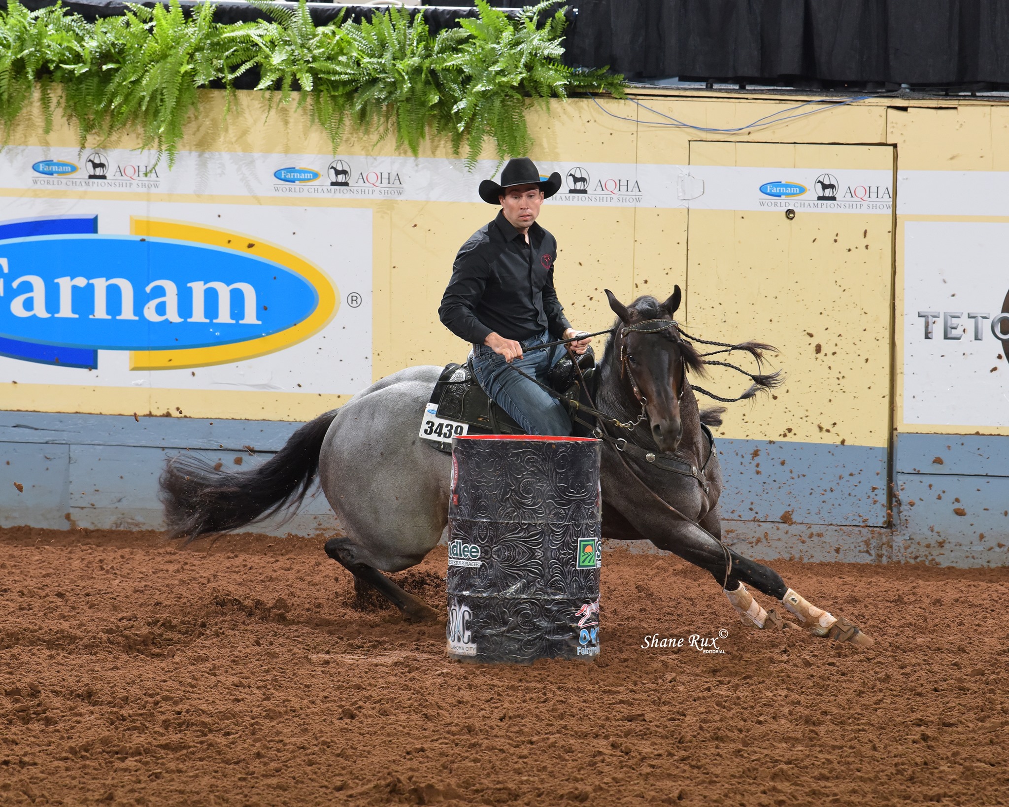 New records were set... - American Quarter Horse Association