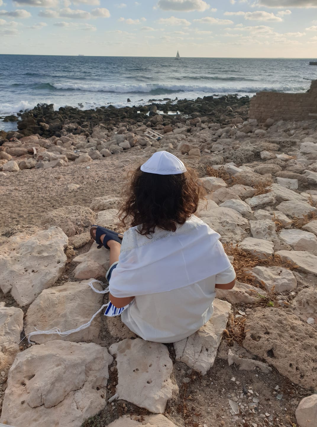 מיטל פר