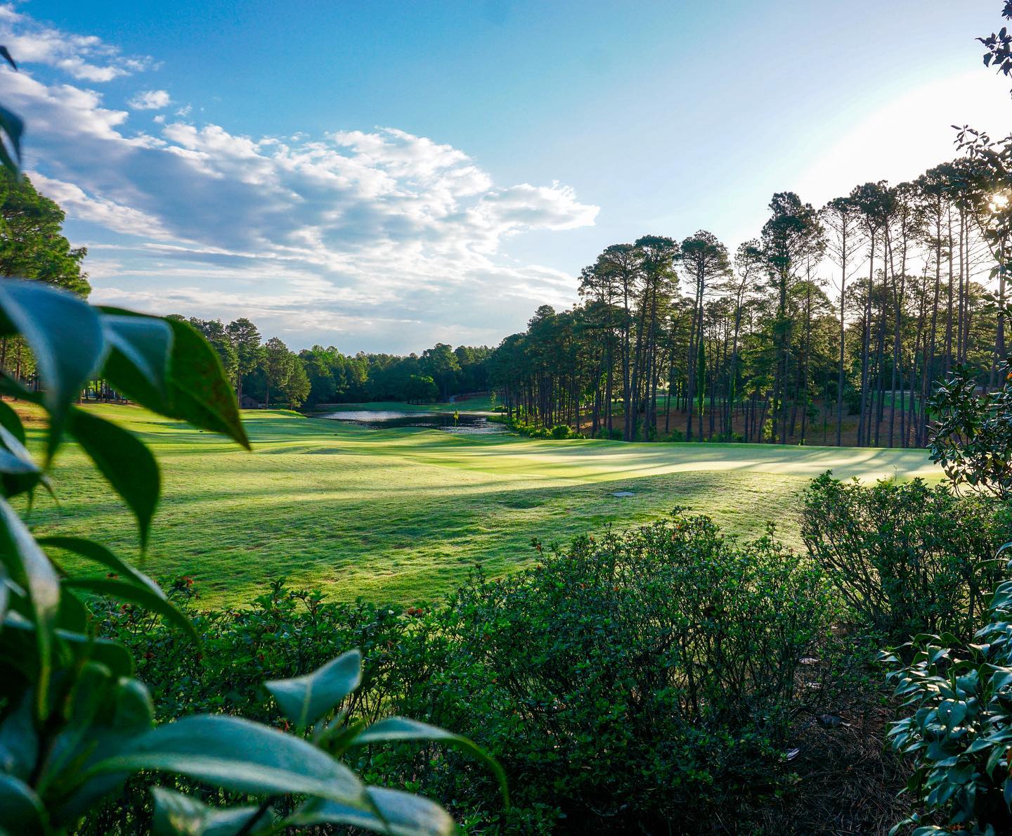 Talamore Golf Resort - ⛳️ Weekend plans ⛳️ • • • #talamore # ...