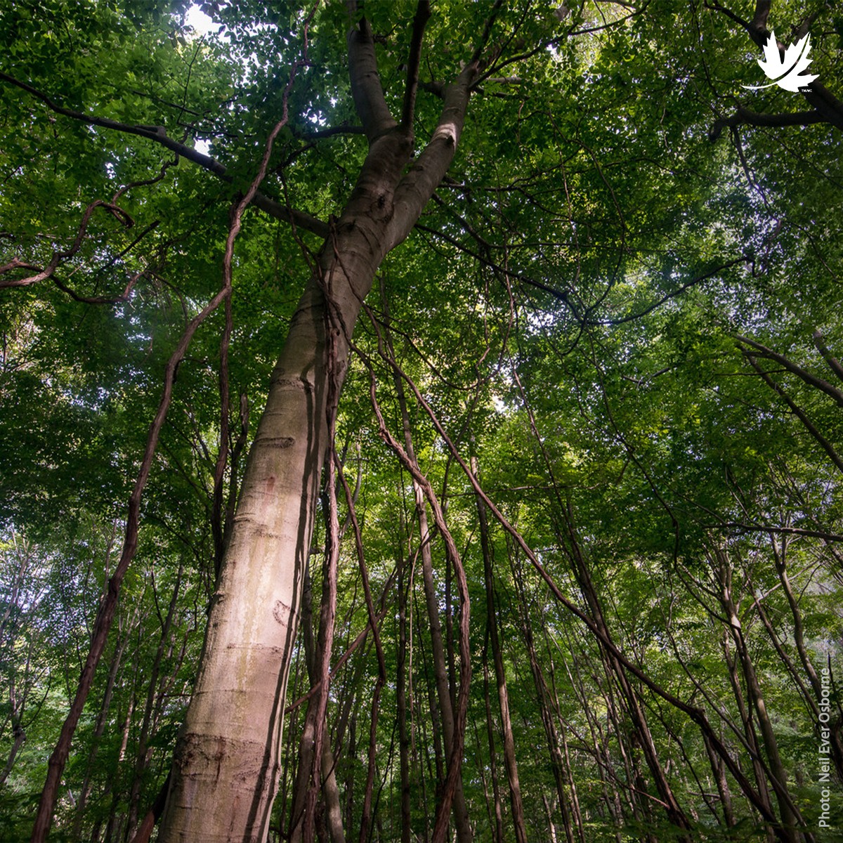 Nature Conservancy of Canada / Conservation de la nature Canada ...