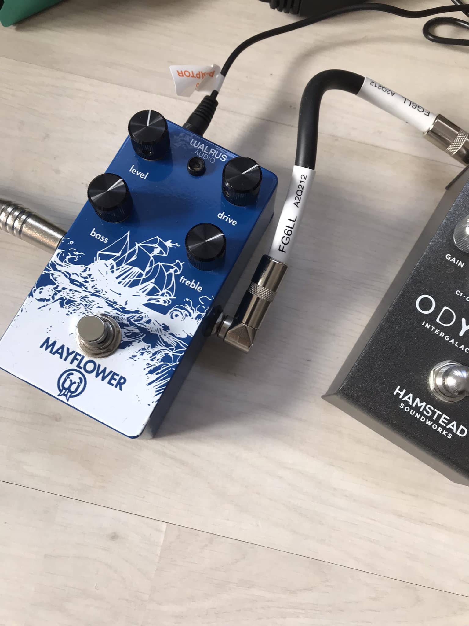 Walrus Audio Luminary Pedal Discussion and Review
