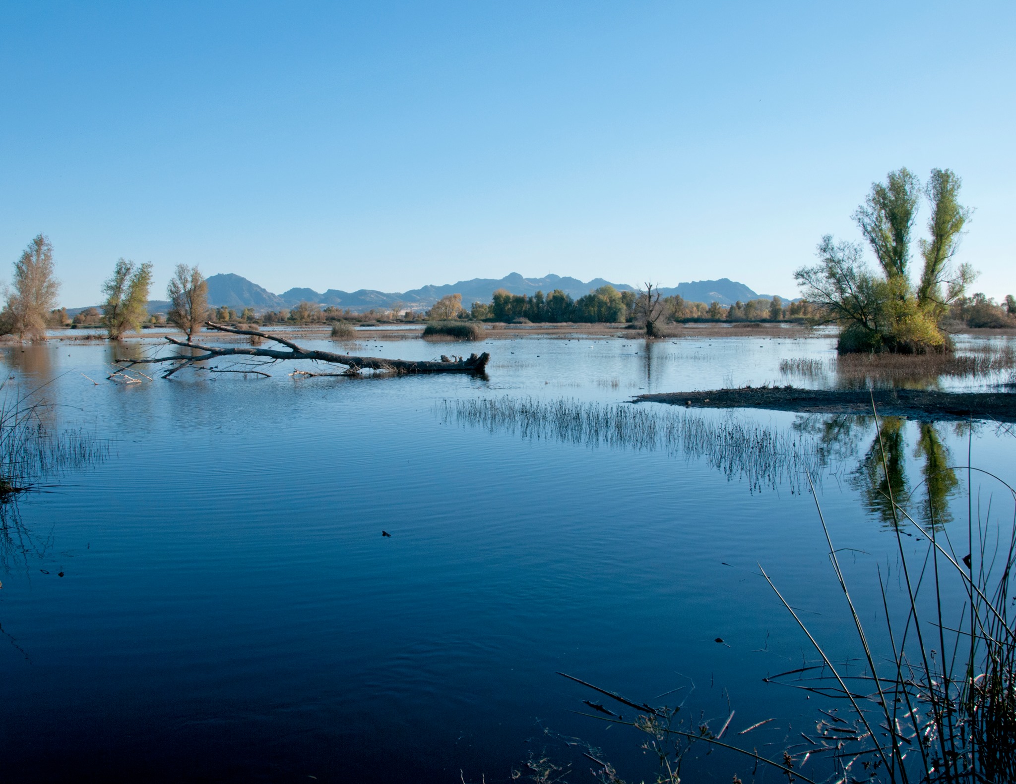 MEET OUR... - Sutter Buttes Regional Land Trust | Facebook