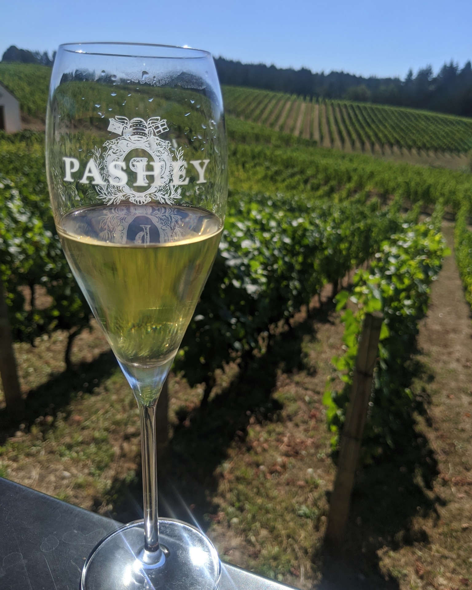 🥂 Just a few short days... - Chehalem Ridge Bed & Breakfast