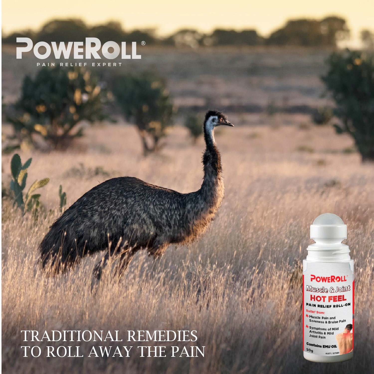Fun emu fact! According to oral... - WellBeing Magazine | Facebook