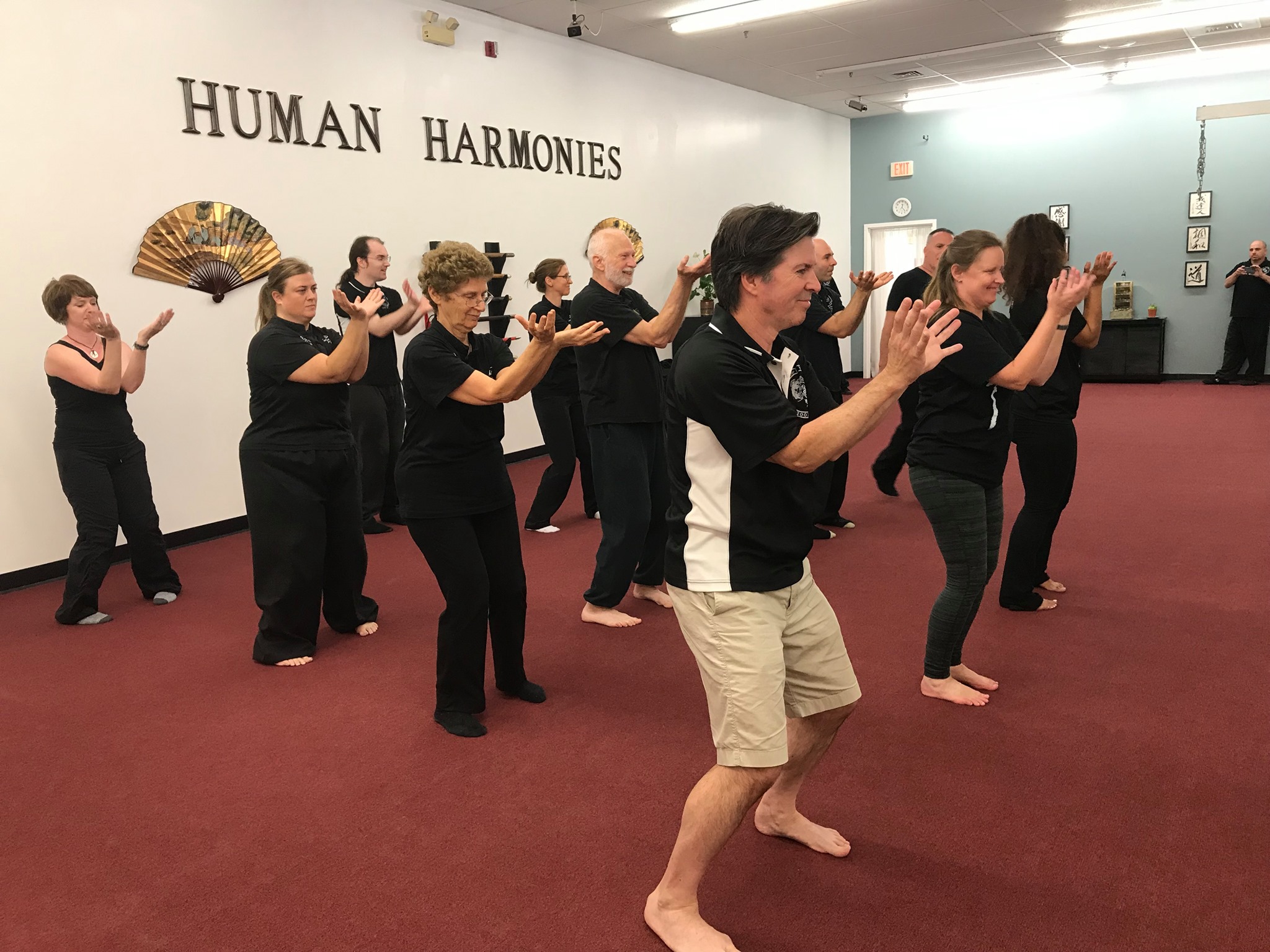 Human Harmonies - In Traditional Chinese Medicine, energy runs through ...
