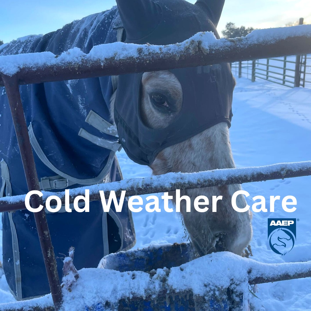 American Association of Equine Practitioners - As severe winter weather ...