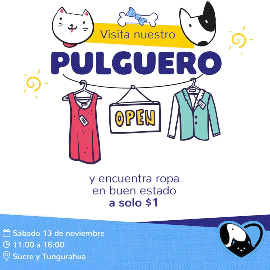 Amigos - Visita nuestro pulguero y ayuda a nuestros rescatados 😺🐶 👜👚👠👗👖 ...