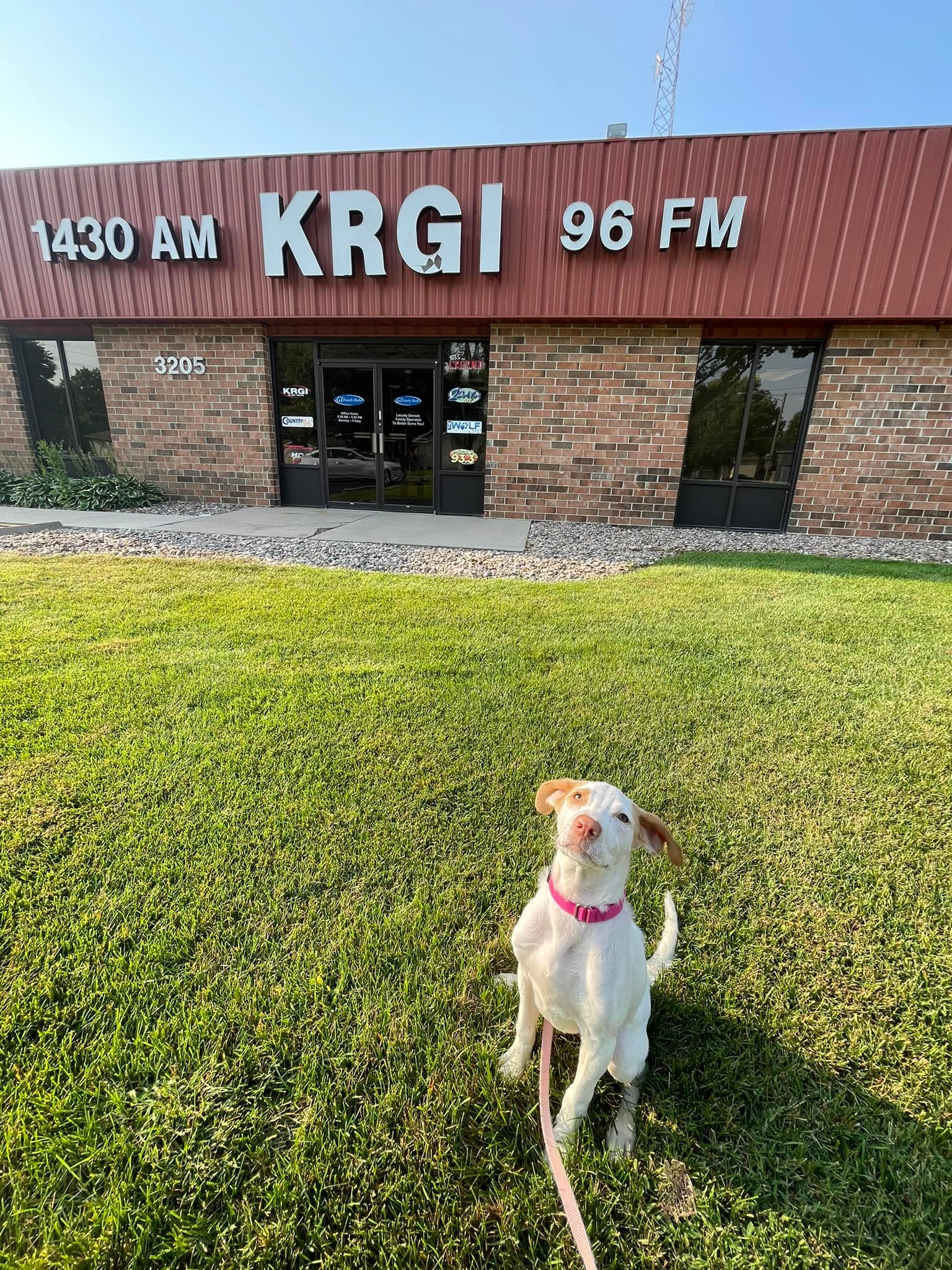 Central Nebraska Humane... - Central Nebraska Humane Society